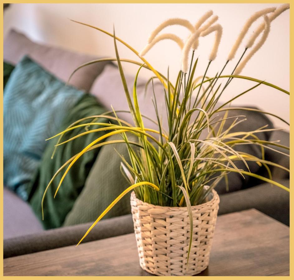 Appartement T3 I Cozy I Douvaine Dış mekan fotoğraf